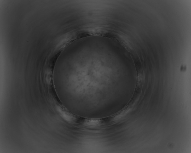 X0000091460671200708301832