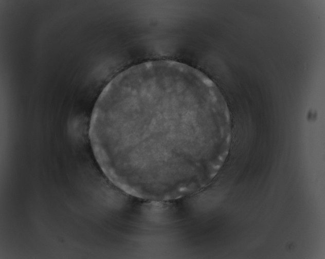 X0000091460672200708301832