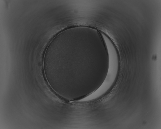 X0000091460673200708301832