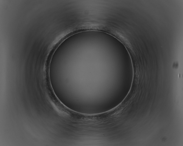 X0000091460674200708301832