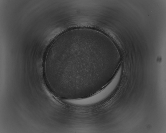 X0000091460677200708301832