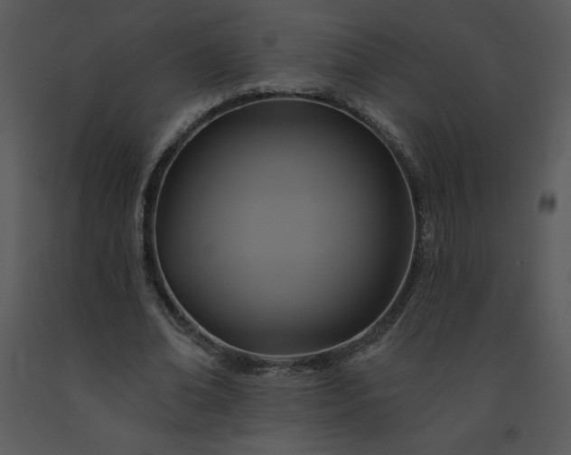 X0000091460678200708301832