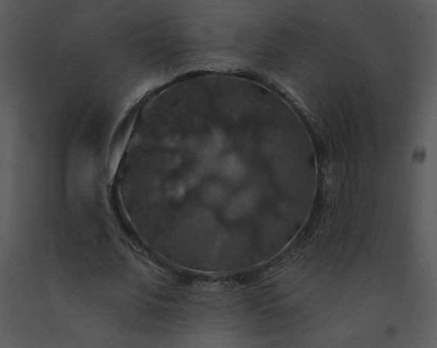 X0000091460679200708301832