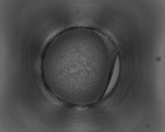 X0000091460680200708301832