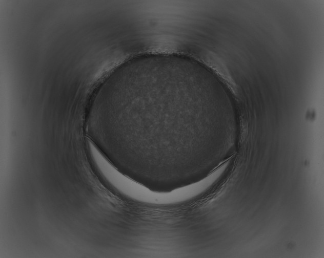 X0000091460681200708301832