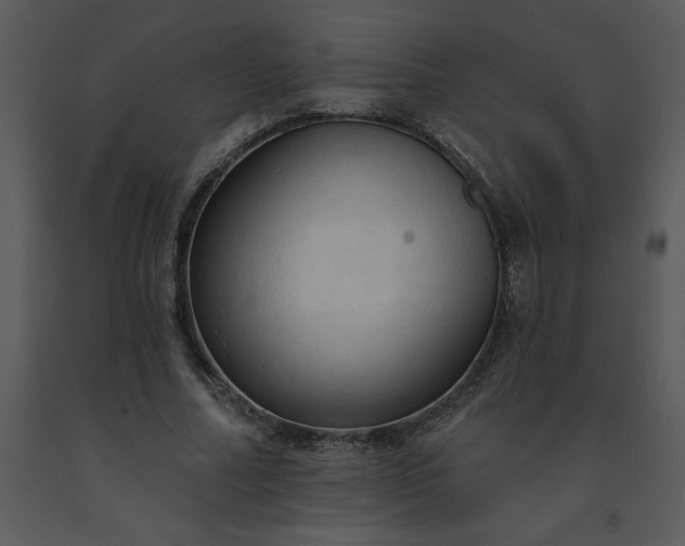 X0000091460682200708301832