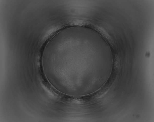 X0000091460683200708301832