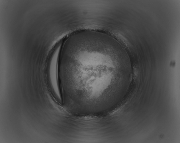 X0000091460684200708301832