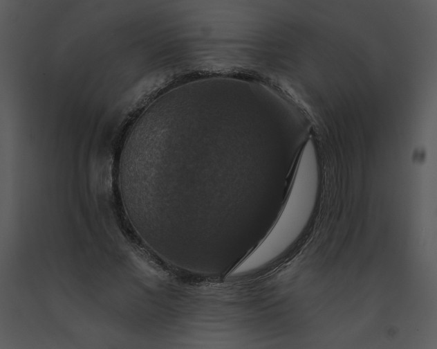 X0000091460685200708301832