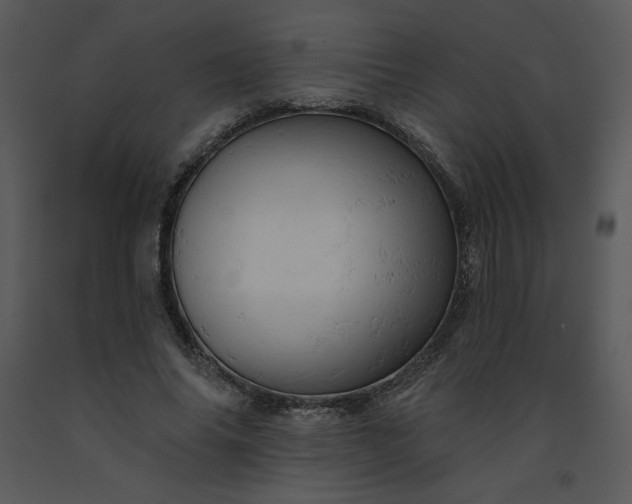 X0000091460686200708301832