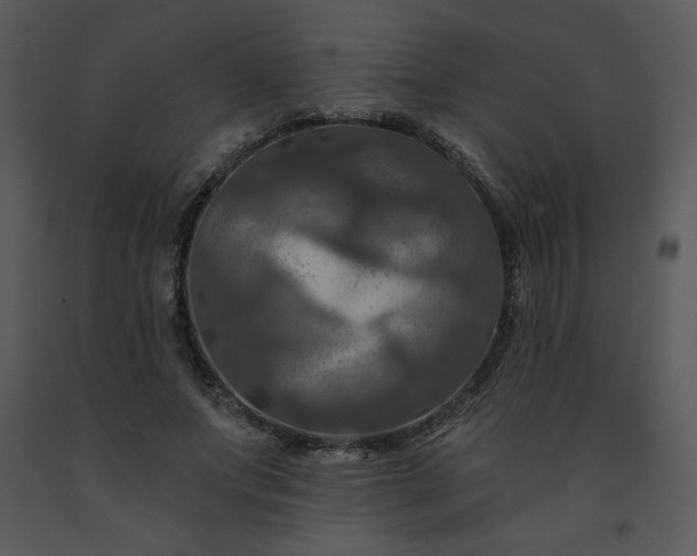 X0000091460687200708301832