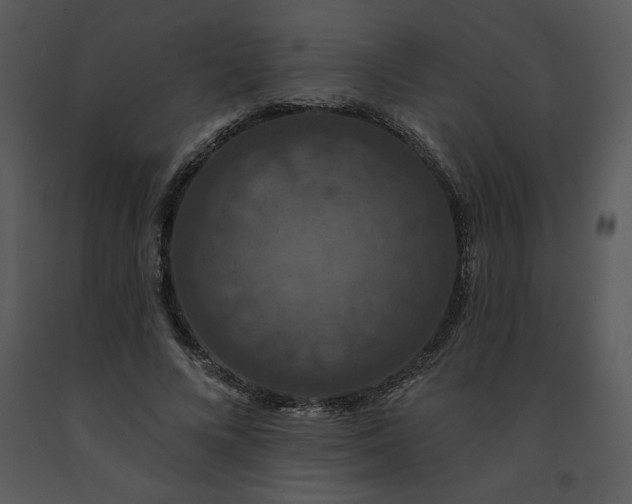 X0000091460688200708301832