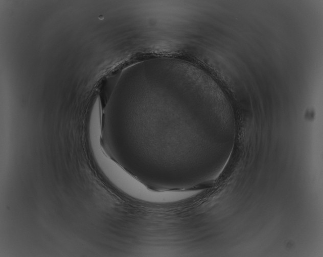 X0000091460689200708301832