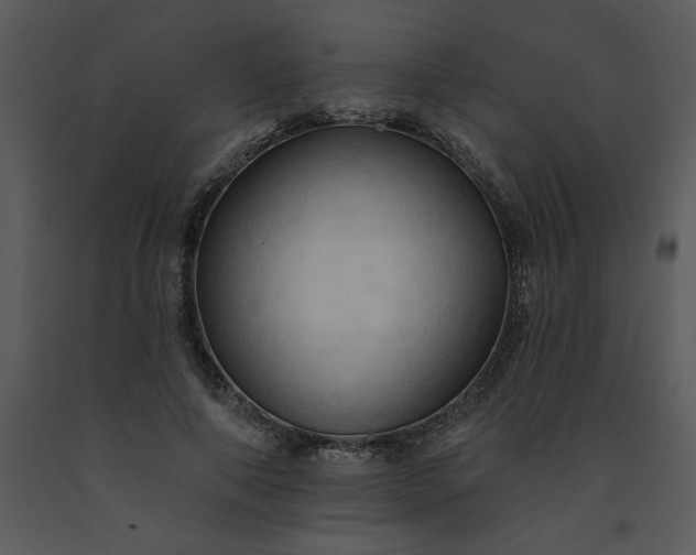 X0000091460690200708301831