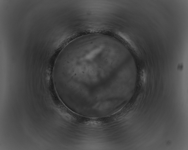 X0000091460691200708301831