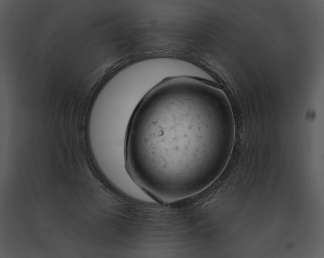 X0000091460693200708301831