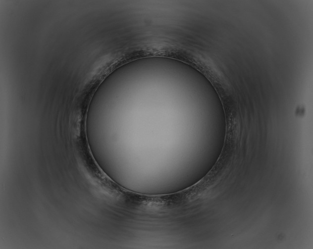 X0000091460694200708301831