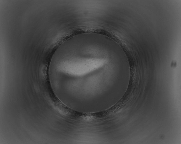 X0000091460695200708301831