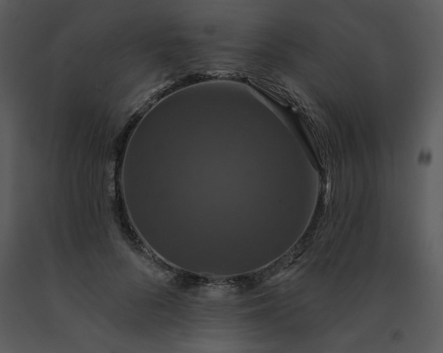 X0000091460696200708301831