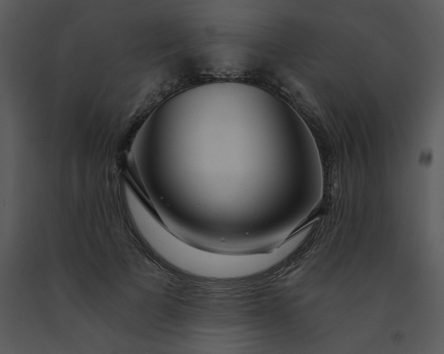 X0000091460697200708301831