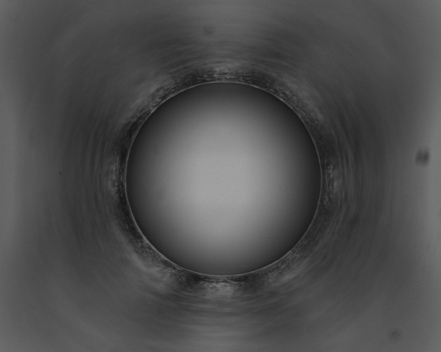 X0000091460698200708301831