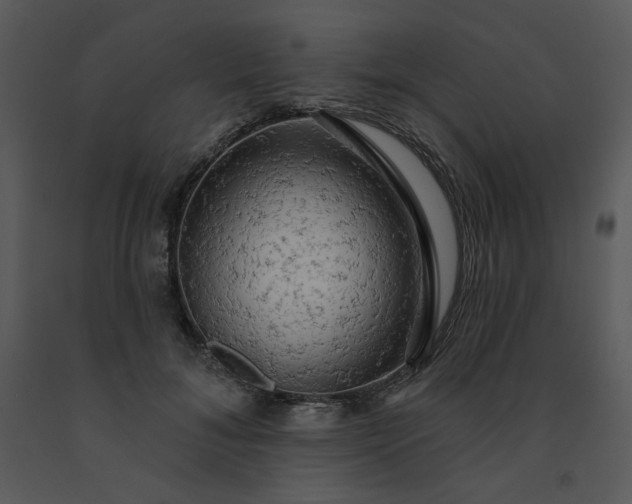 X0000091460700200708301831