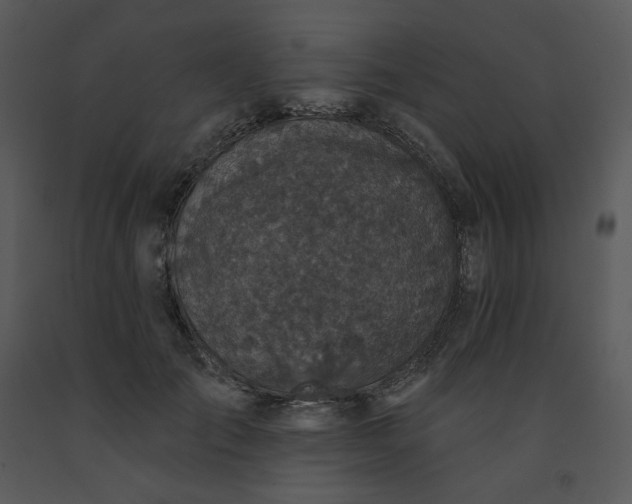 X0000091460701200708301831