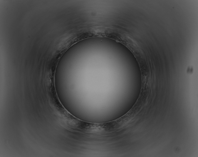 X0000091460702200708301831