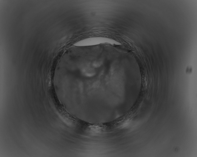 X0000091460703200708301831