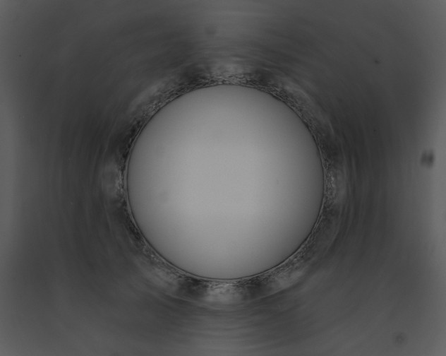 X0000091460705200708301831