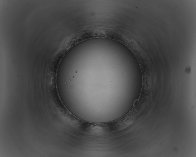 X0000091460706200708301831