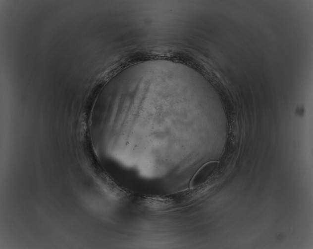 X0000091460707200708301831