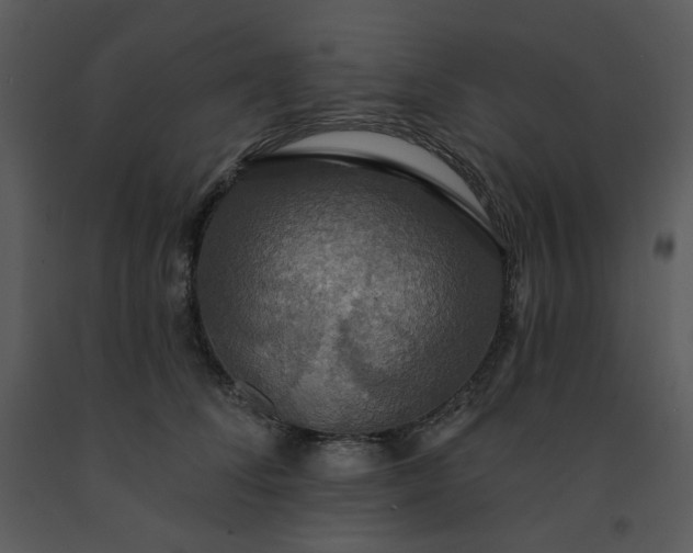 X0000091460708200708301831