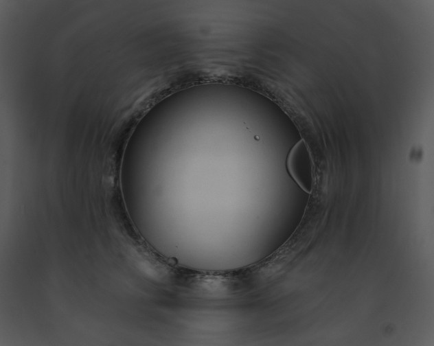 X0000091460710200708301831