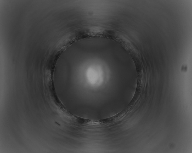 X0000091460711200708301831