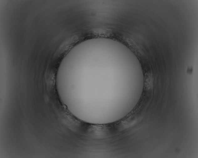 X0000091460713200708301831