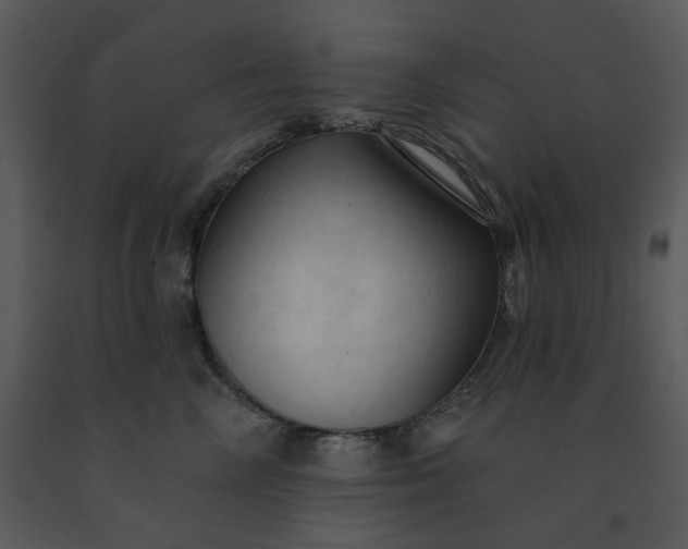 X0000091460714200708301831