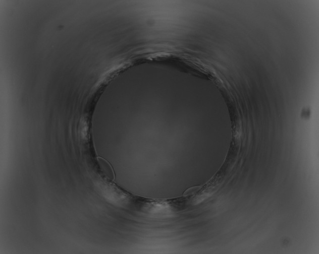 X0000091460715200708301831