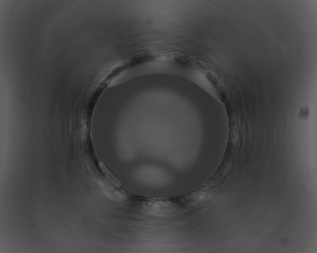 X0000091460716200708301831