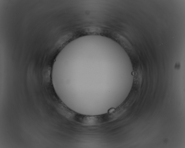 X0000091460717200708301831