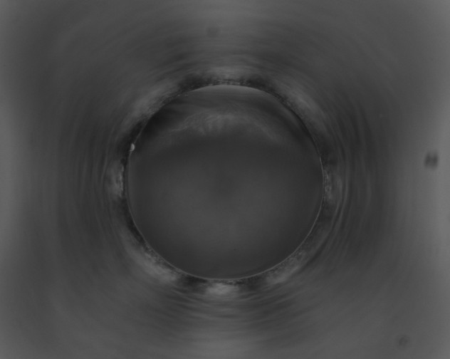 X0000091460718200708301831