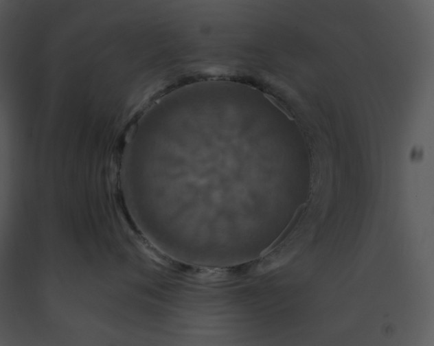 X0000091460720200708301831