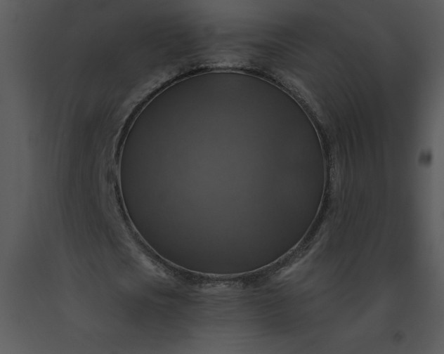 X0000091460721200708301830