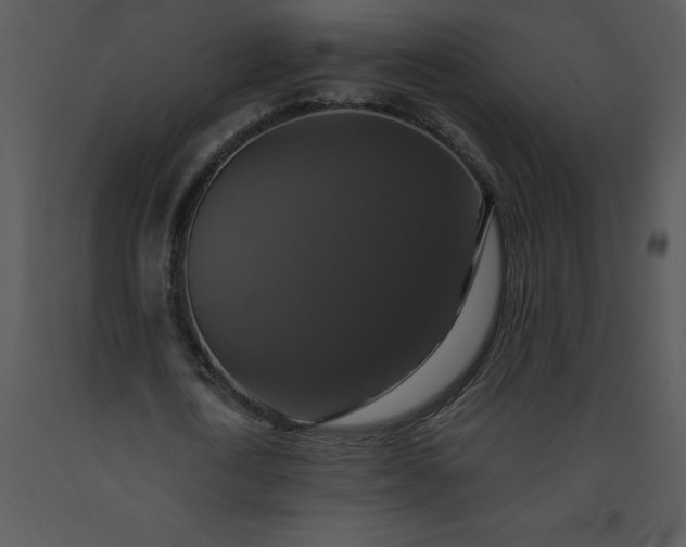 X0000091460722200708301830