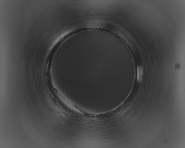 X0000091460723200708301830