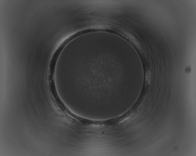 X0000091460724200708301830