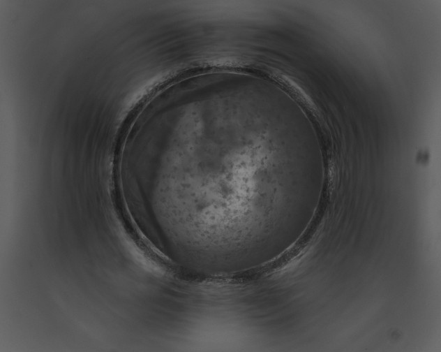 X0000091460725200708301830