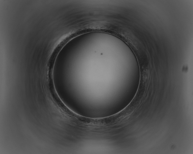 X0000091460727200708301830