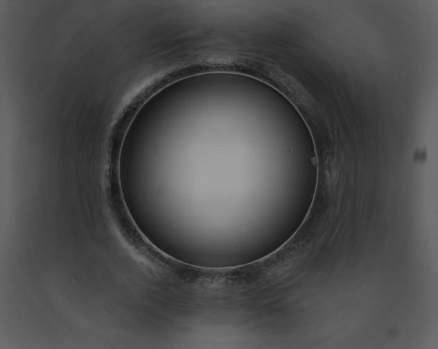 X0000091460728200708301830