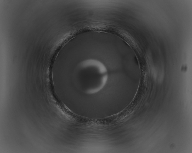 X0000091460729200708301830